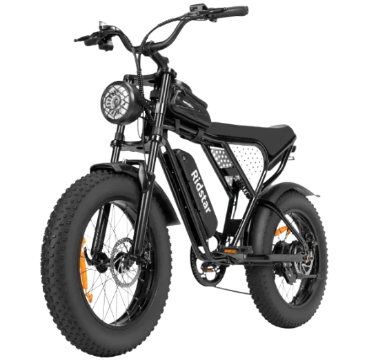 Ridstar Q20